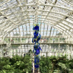 Chuhuly glass sculpture in Kew Temperate House
